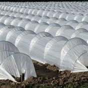 Agricultural products